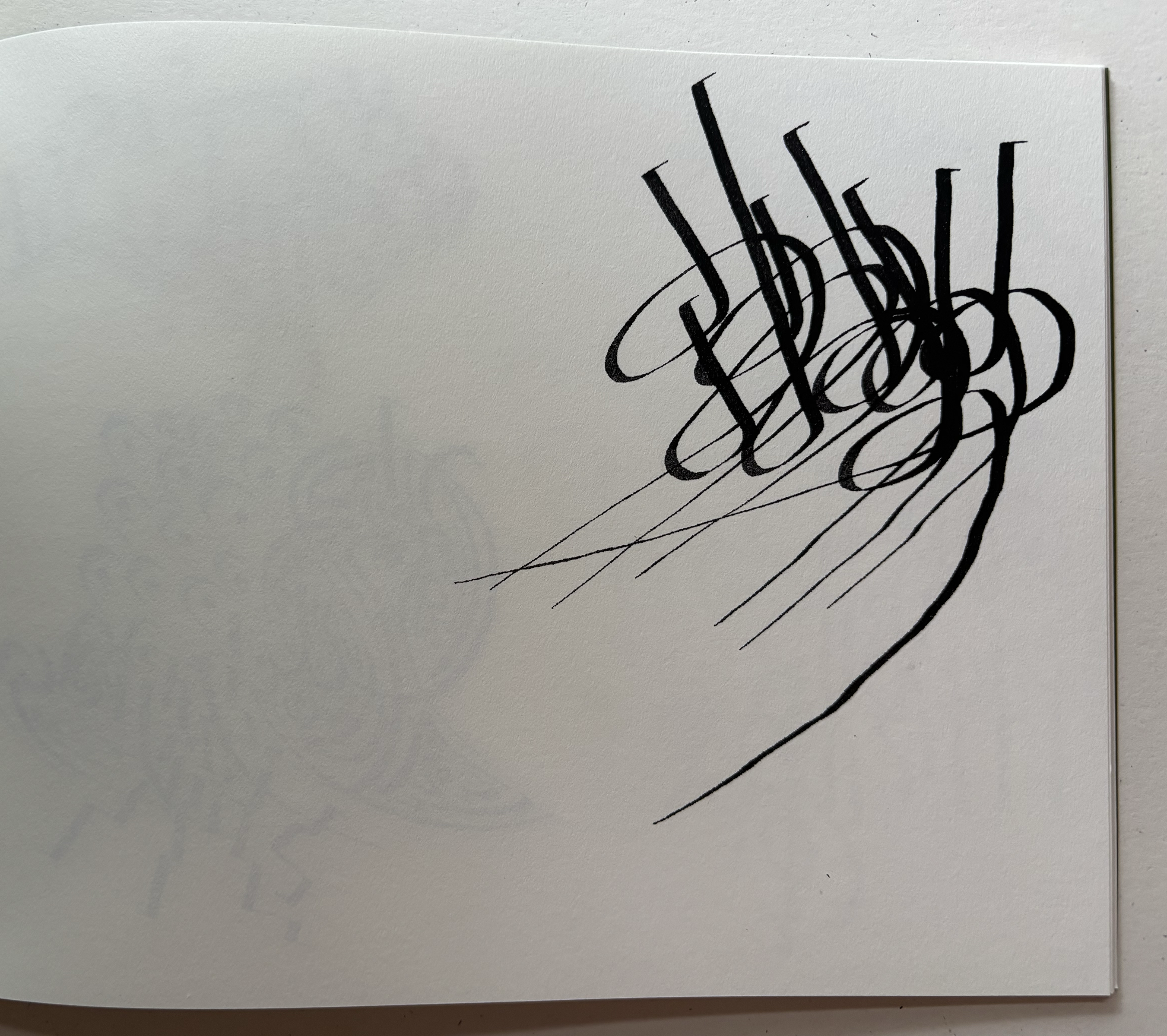Echo, Gloss, Margin — Jos Charles