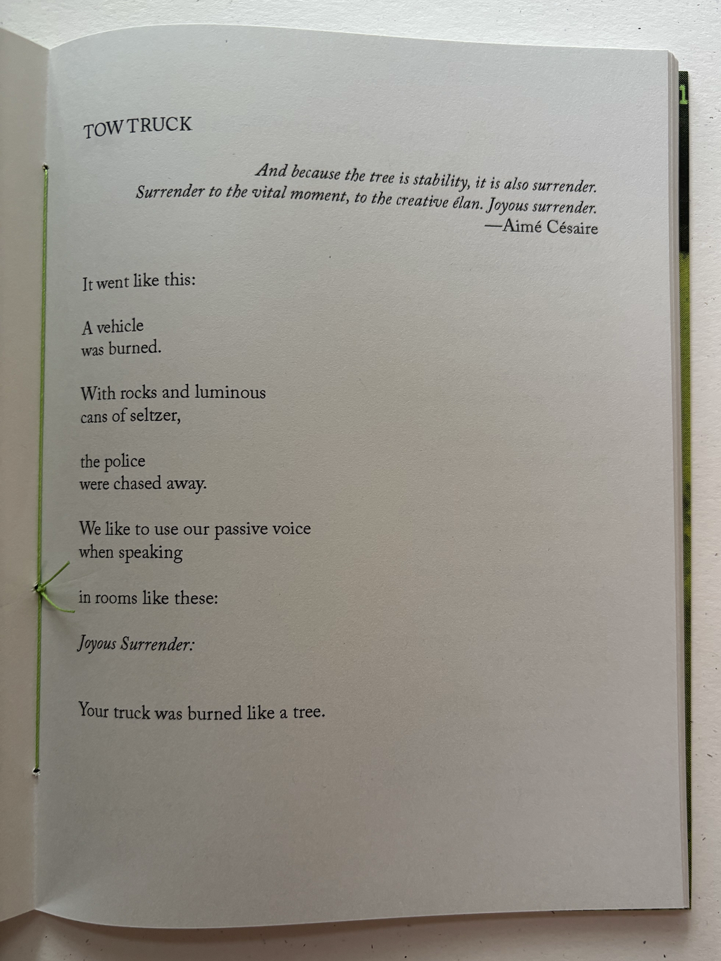 Cop City — Ezra Allen