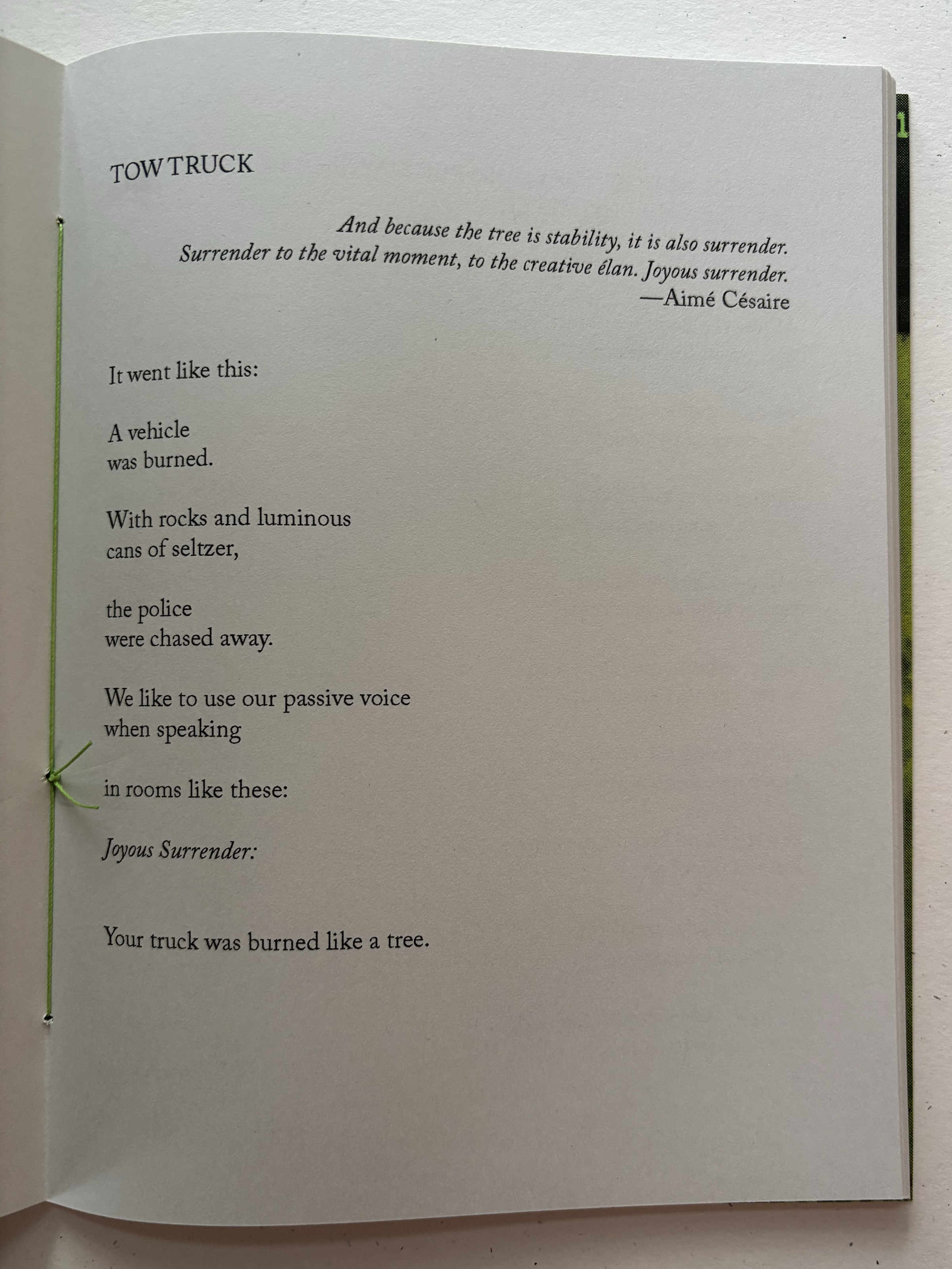 Cop City — Ezra Allen