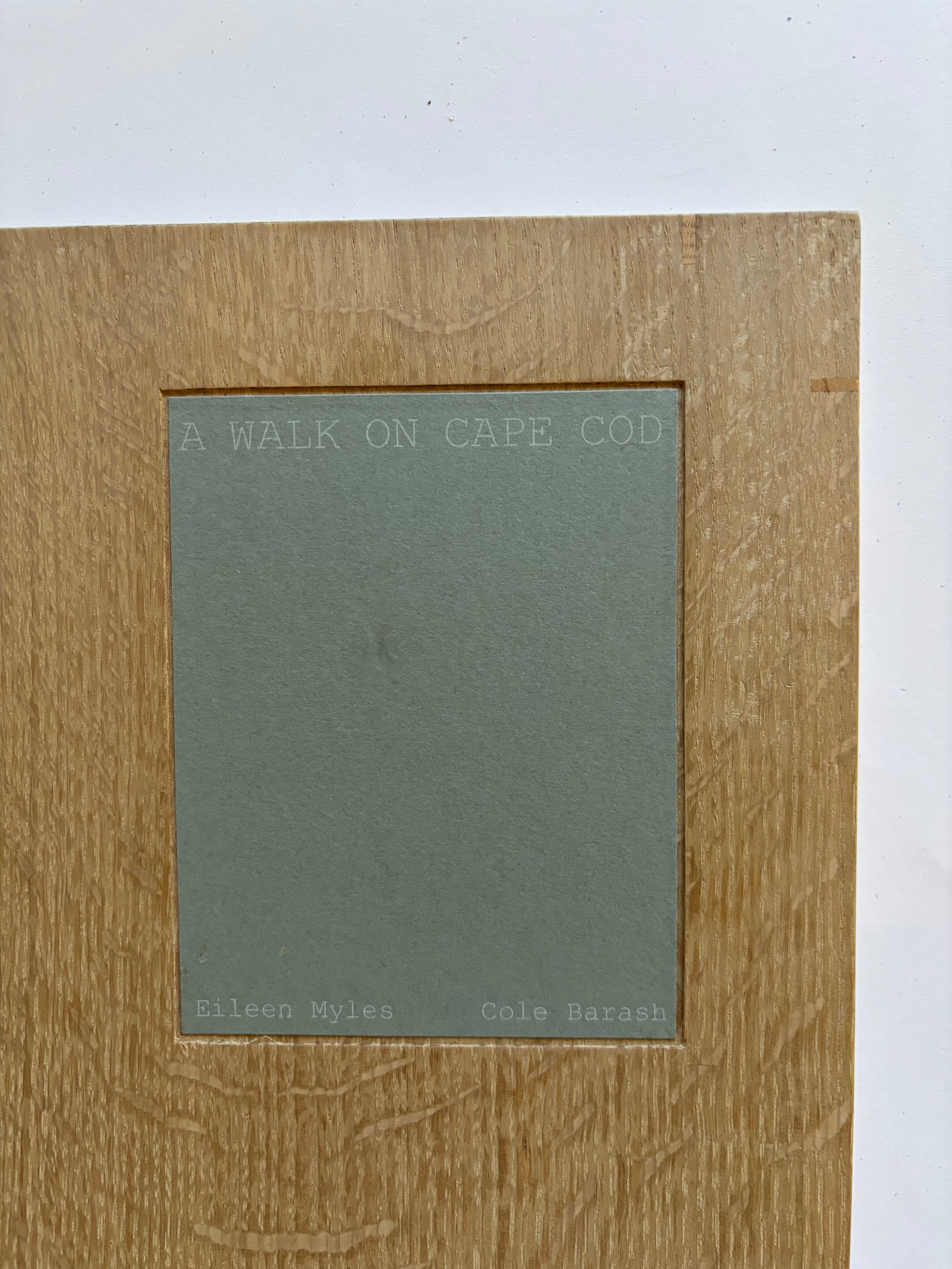 A Walk on Cape Cod — Eileen Myles & Cole Barash