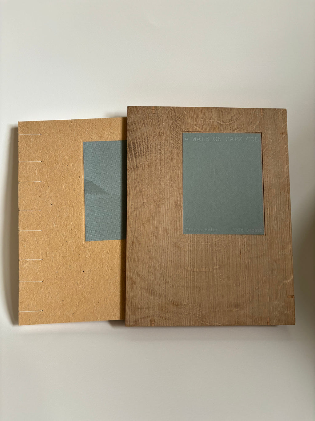 A Walk on Cape Cod — Eileen Myles & Cole Barash