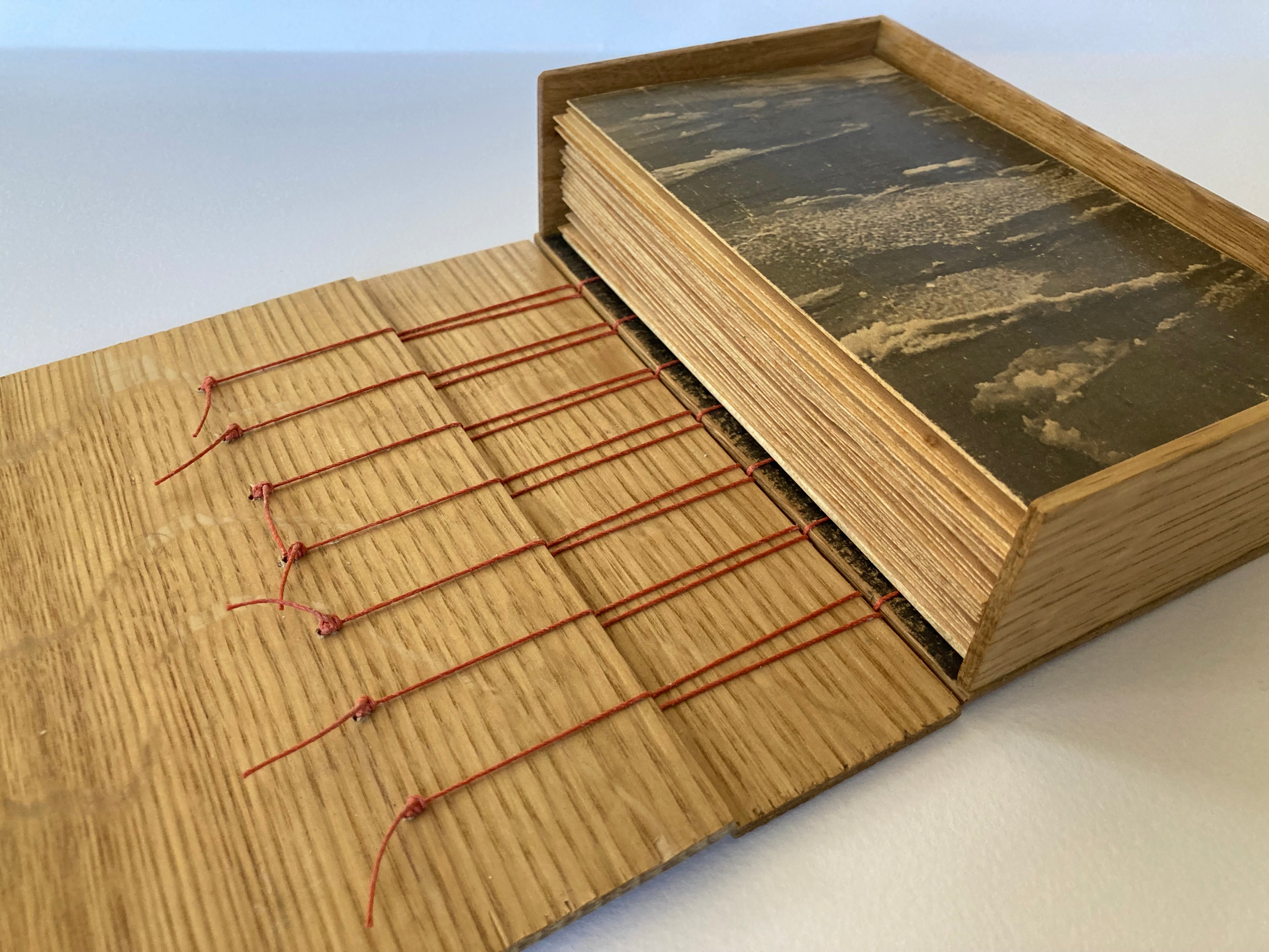 What Sleeps under Lacquer — Kōan Brink