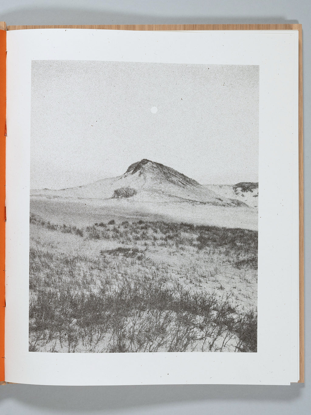 A Walk on Cape Cod — Eileen Myles & Cole Barash