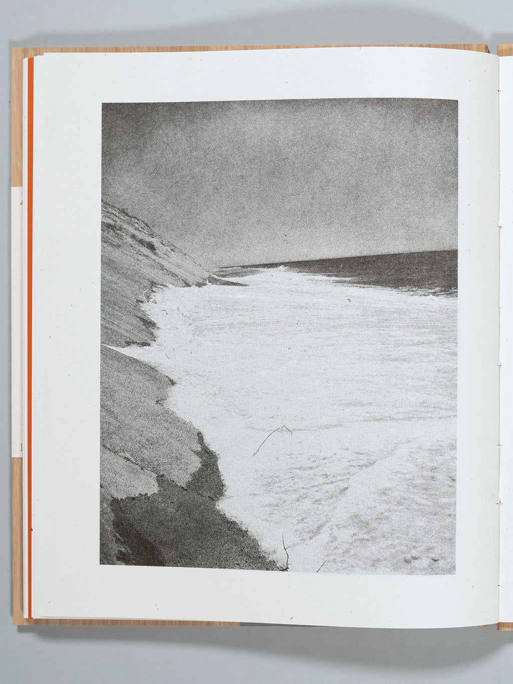 A Walk on Cape Cod — Eileen Myles & Cole Barash