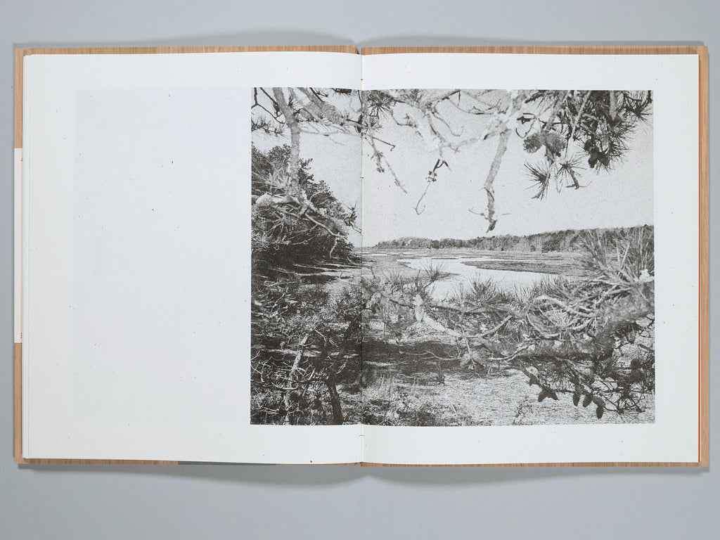 A Walk on Cape Cod — Eileen Myles & Cole Barash