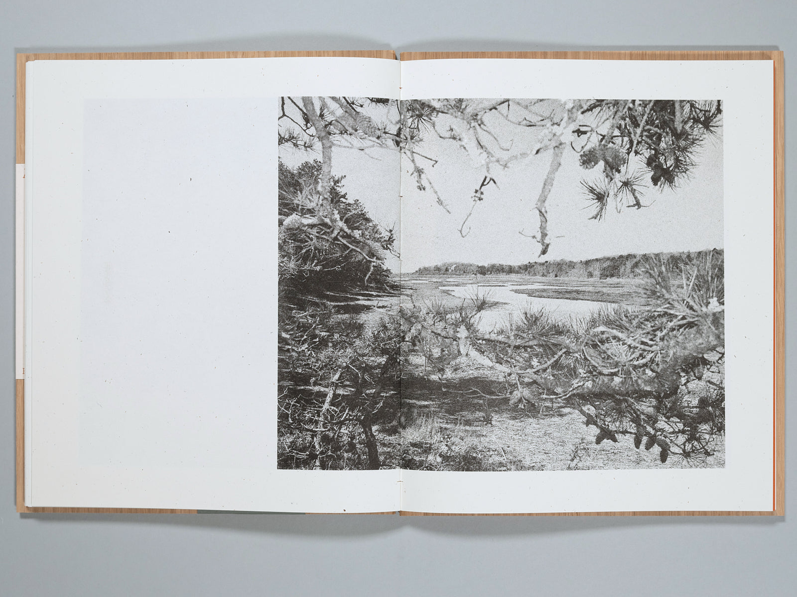 A Walk on Cape Cod — Eileen Myles & Cole Barash