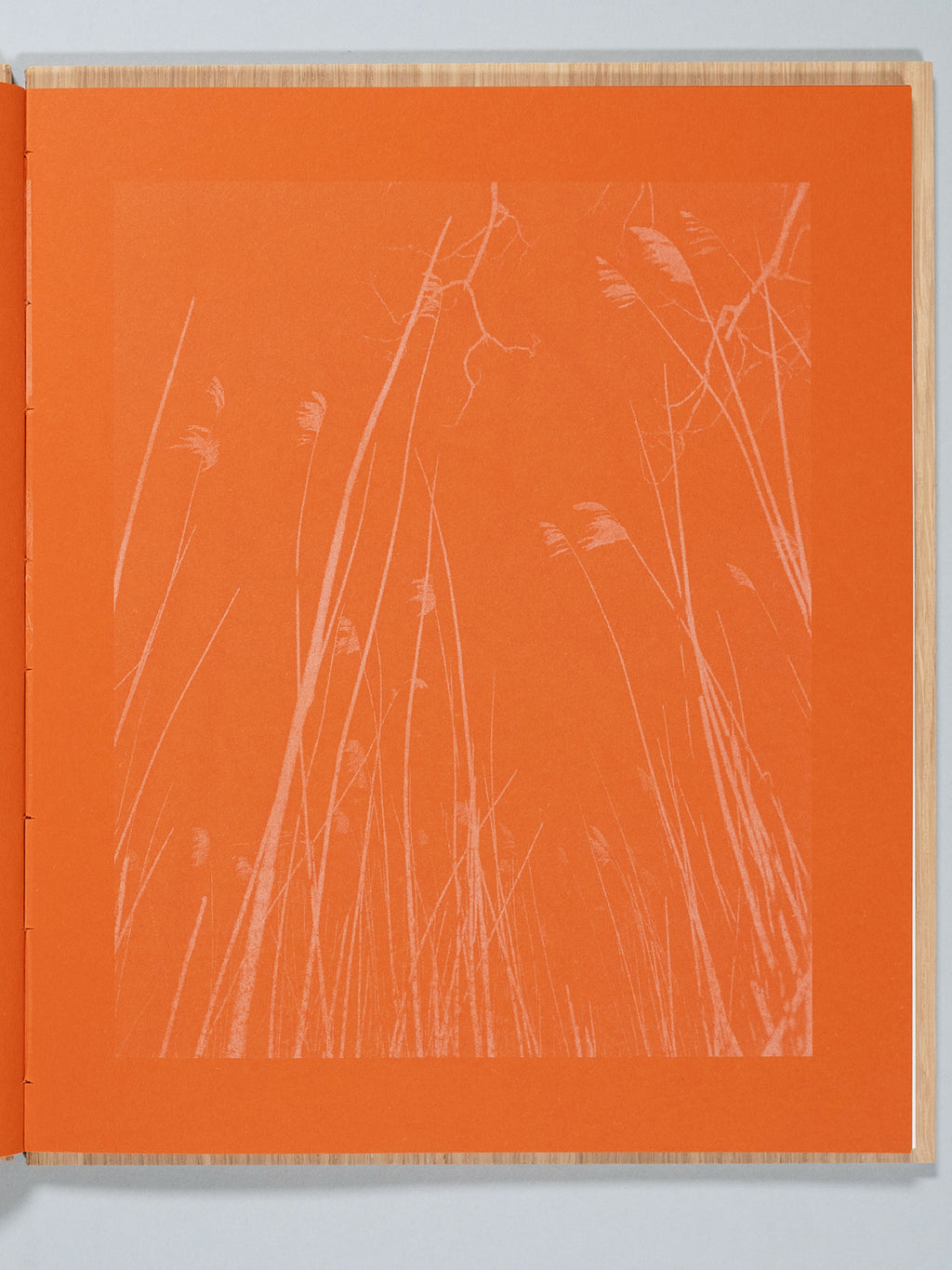 A Walk on Cape Cod — Eileen Myles & Cole Barash