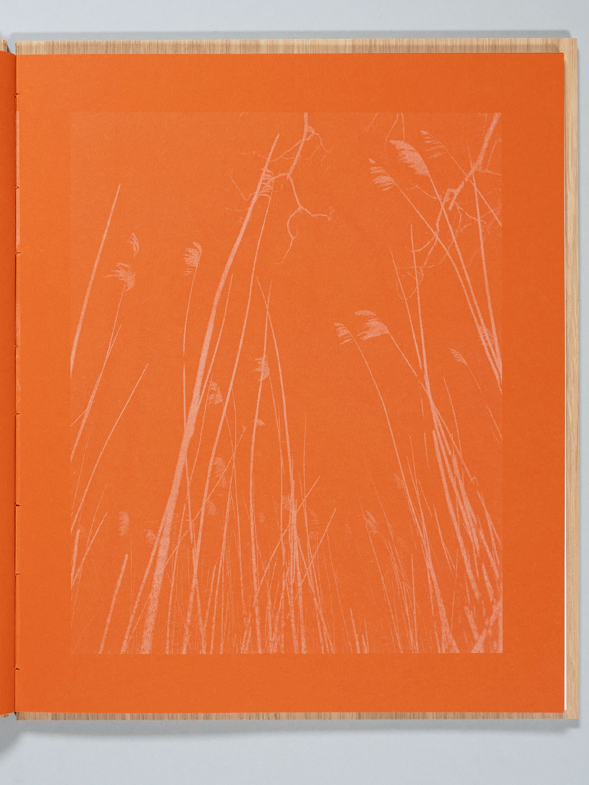 A Walk on Cape Cod — Eileen Myles & Cole Barash
